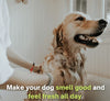 Anti-Itch Dog Shampoo Pack of 1