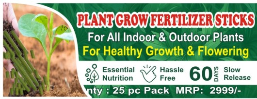 Plant Grow fertilizer 25 Stick Pack of 1